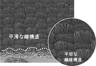 新発想の高吸水・速乾素材「ラッカン」の開発 - 本文画像