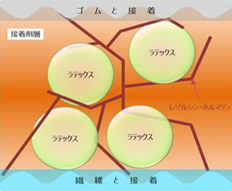 ゴム補強繊維に用いる環境に配慮した接着剤を開発 - 本文画像