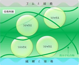 ゴム補強繊維に用いる環境に配慮した接着剤を開発 - 本文画像