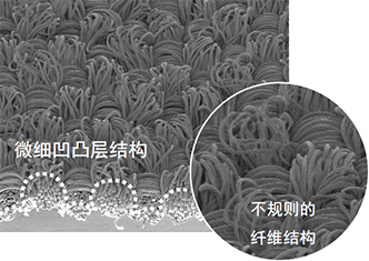 新発想の高吸水・速乾素材「ラッカン」の開発 - 本文画像
