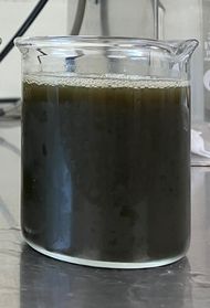 茶葉の未利用成分の抽出・分離濃縮技術を活用 静岡発「ゼロエミッション」モデル構築の取組みを開始 - 本文画像